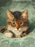 Oleograph on Canvas of a Kitten in a Gilt Gesso Frame