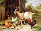 Fine Oleograph on Canvas - Chickens & a Goat in a Yard