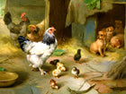 Oleograph on Canvas of Chickens & Puppies in a Stable