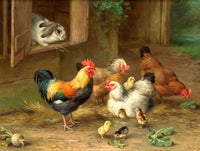 Fine Oleograph on Canvas of Chickens in a Barnyard