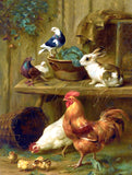 Fine Oleograph on Canvas - Chickens Rabbits & Pigeons aft. Edgar Hunt