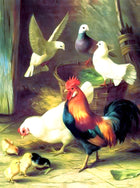 Fine Oleograph on Canvas of Chickens in a Yard