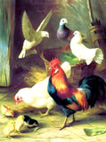 Fine Oleograph on Canvas of Chickens in a Yard