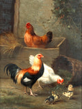 A Cockerel & Hens in a Farmyard - Fine Oleograph on Canvas in a Gilt Rococo Frame