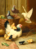 Fine Oleograph on Canvas - Chickens & Chicks in a yard aft Edgar Hunt