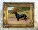 Fine Oleograph on Canvas - Portrait of a Dachshund in a Landscape
