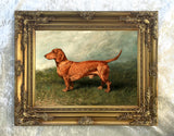 Fine Oleograph on Canvas of a Tan Dachshund