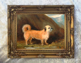 Fine Oleograph on Canvas - A Dandie Dinmont Terrier aft. john Ferneley
