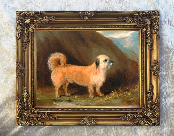 Fine Oleograph on Canvas - A Dandie Dinmont Terrier aft. john Ferneley