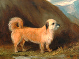 Fine Oleograph on Canvas - A Dandie Dinmont Terrier aft. john Ferneley