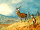 Gilt Framed Oleograph of Red Deer in a Highland Landscape
