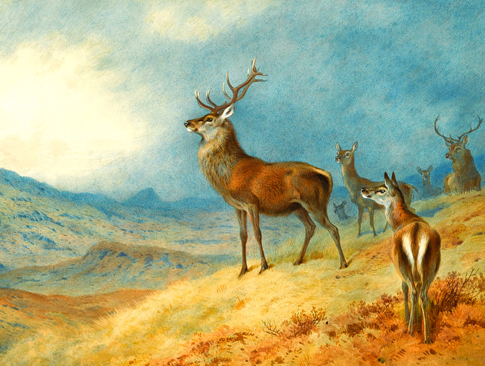 Gilt Framed Oleograph of Red Deer in a Highland Landscape