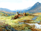 Gilt Framed  Oleograph "Red Deer Resting" aft. Archibald Thorburn