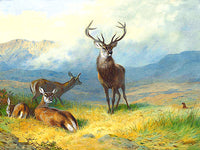 Fine Oleograph on Canvas - Deer & Grouse on a Moor aft. Thorburn