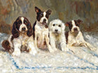 Fine Oleograph on Canvas - A Group of 4 Puppies