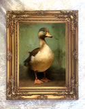 Fine Oleograph on Canvas - Portrait of a Duck