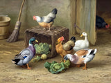 Fine Oleograph on Canvas of Chickens & Ducks in a Stable Yard