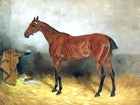 Fine Oleograph on Canvas of a Hunter in a Stable aft. John Emms