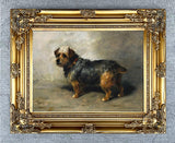 Fine Lithograph on Canvas of a Brown & Tan Dog aft. John Emms