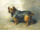 Fine Lithograph on Canvas of a Brown & Tan Dog aft. John Emms
