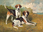 Fine Lithograph on Stretched Canvas of Foxhounds in a Rural Landscape aft. John Emms