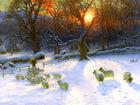 Fine Oleograph on Canvas of Sheep in a Winter Meadow after Farquharson