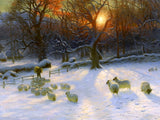 Fine Oleograph on Canvas of Sheep in a Winter Meadow after Farquharson