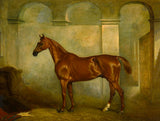 Fine Oleograph on Canvas - Chestnut Hunter in a Stable aft. John Ferneley