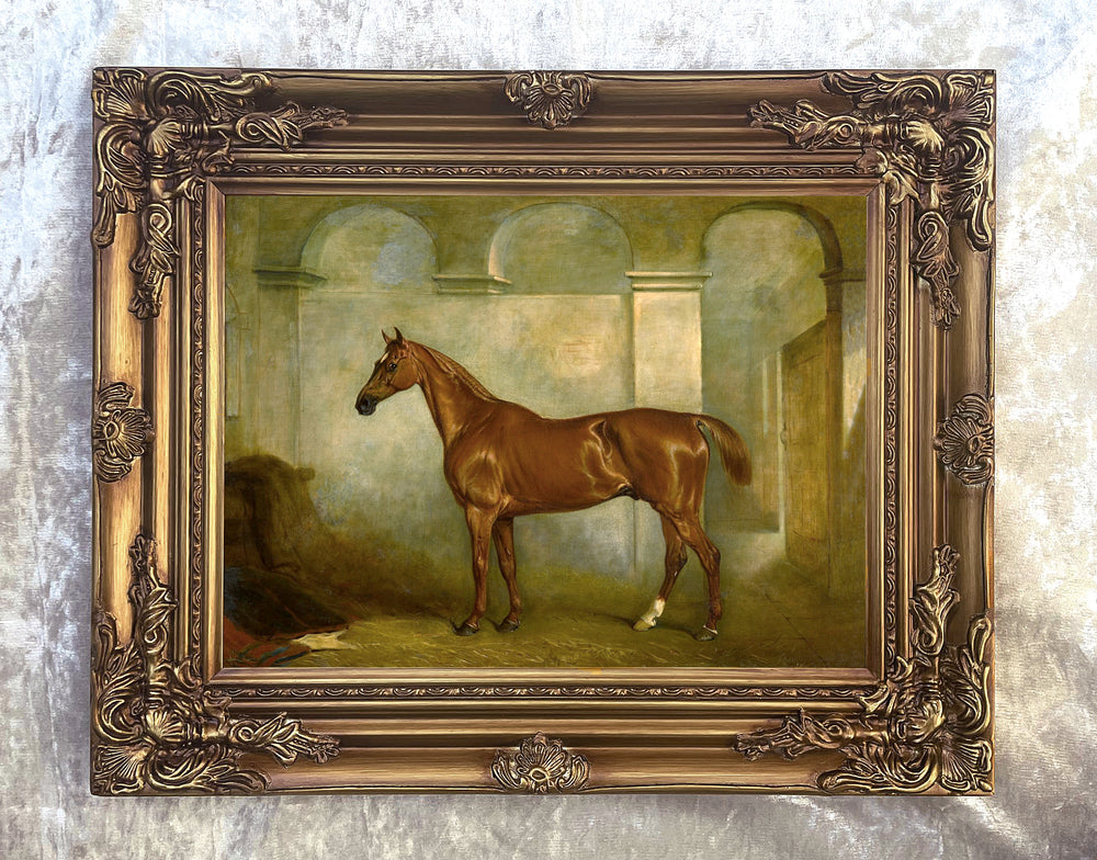Fine Oleograph on Canvas - Chestnut Hunter in a Stable aft. John Ferneley