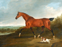 Fine Oleograph on Canvas of a Bay Horse & Cavalier King Charles Spaniel.