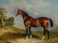 Fine Oleograph on Canvas - The Racehorse Sultan in a Landscape aft. John Ferneley