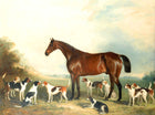 Oleograph on Canvas of a Bay Hunter with Hounds