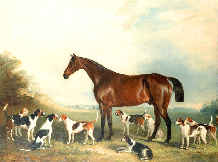 Oleograph on Canvas of a Bay Hunter with Hounds