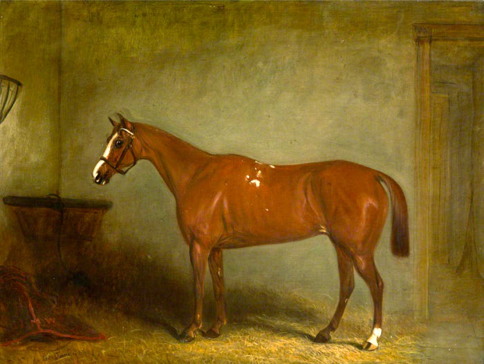 Excellent Oleograph on Canvas - Portrait of a Chestnut Hunter in a Stable