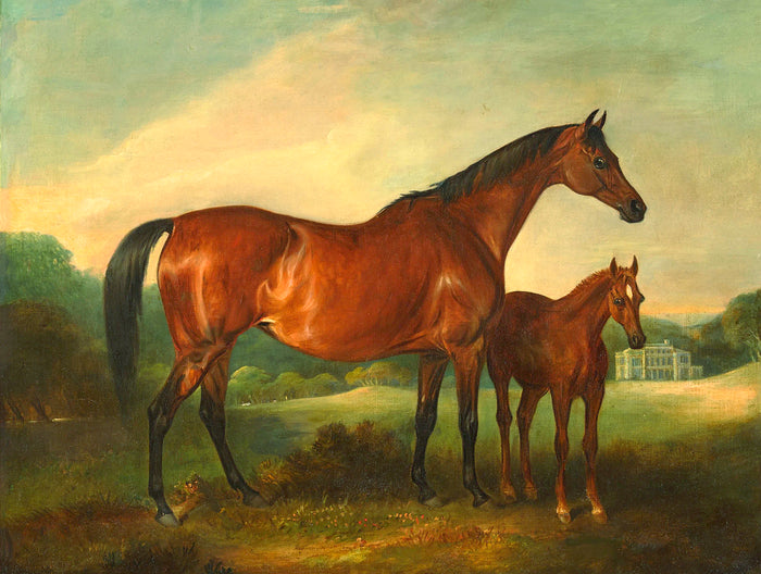 Fine Oleograph on Canvas - Mare & Foal in a Landscape aft. Ferneley