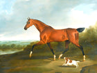 Fine Oleograph on Canvas of a Bay Horse & Cavalier King Charles Spaniel