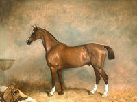 Fine Oleograph on Canvas -Portrait of "Light Heart" a Chestnut Hunter  aft. Ferneley