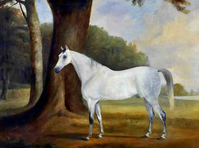 Fine Oleograph on Canvas - Dapple Gray Horse in a Wooded Landscape aft. Ferneley