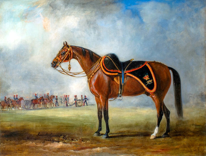 Fine Oleograph on Canvas - A Dark Bay Charger aft. John Ferneley