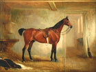 Fine Oleograph on Canvas - A Saddled Hunter in a Stable  aft. Ferneley