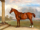 Fine Oleograph on Canvas - A Saddled Hunter in a Palladian Landscape  aft. Ferneley