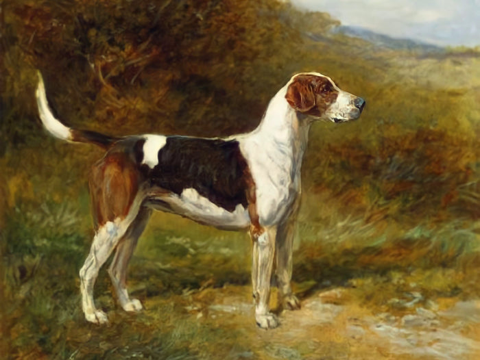 Gilt Framed Oleograph of the Foxhound 