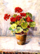 Exquisite Oleograph on Canvas Still Life of Geraniums in a Flower Pot