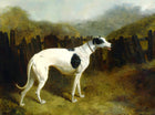 Gilt Framed Oleograph of a Black & White  Greyhound in a Landscape