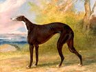 Gilt Framed Oleograph of a Greyhound in a Landscape aft. George Garrard