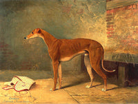 Gilt Framed Oleograph -  The Champion Greyhound "Dodger"