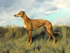 Fine Oleograph on Canvas - A Tan Greyhound in an extensive Landscape