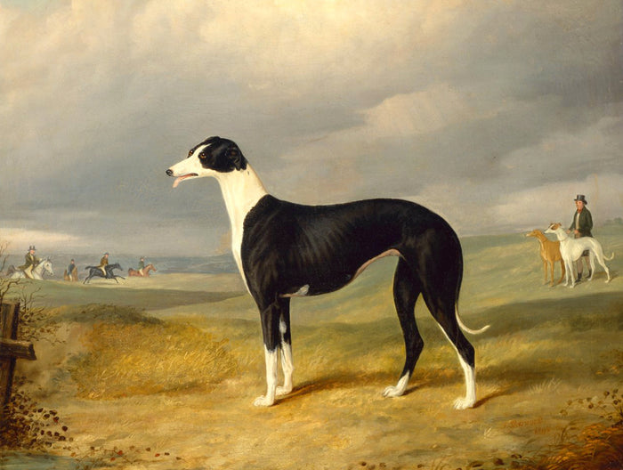 Framed Oleograph of a Prize Greyhound in an extensive landscape