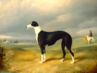 Framed Oleograph of a Prize Greyhound in an extensive landscape