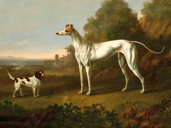 Fine Oleograph on Canvas - A  Greyhound & Spaniel in an extensive Landscape